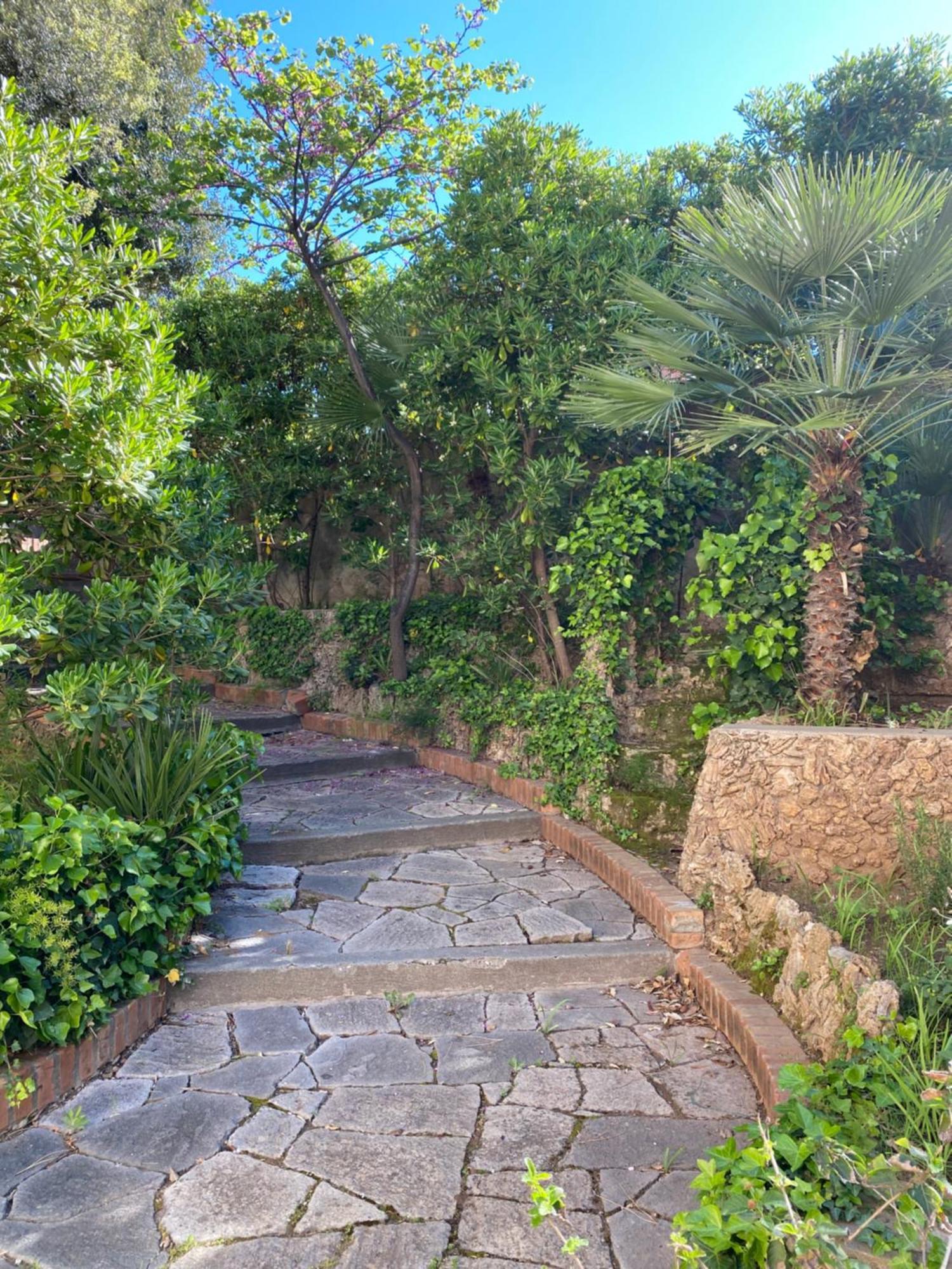 Villa Il Boschetto San Vincenzo Exterior foto