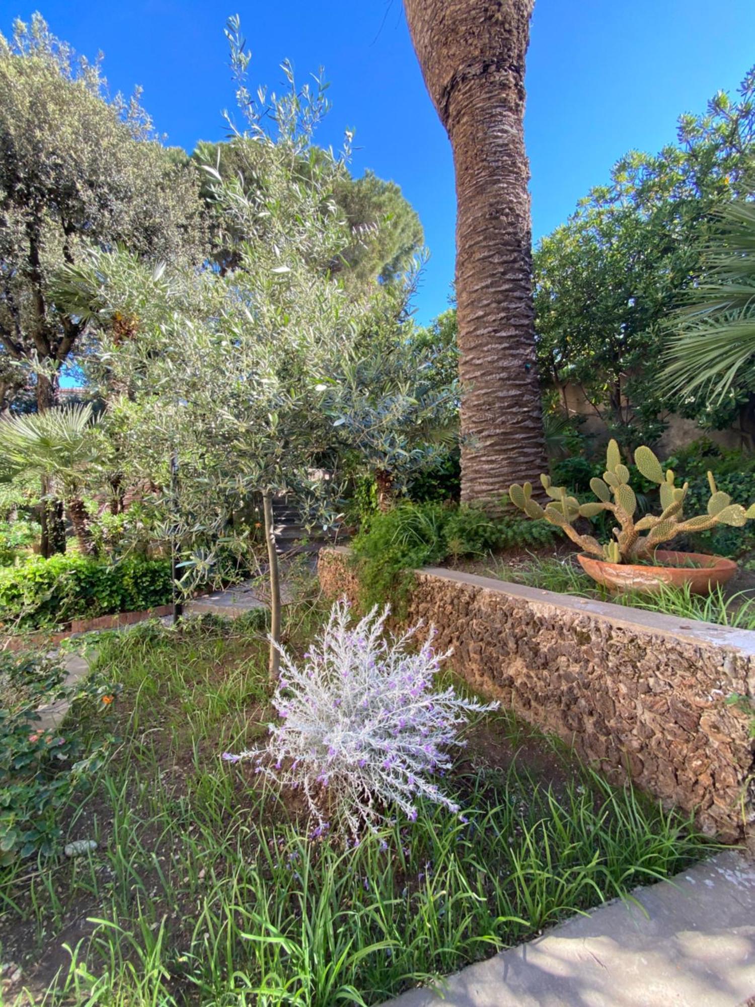 Villa Il Boschetto San Vincenzo Exterior foto